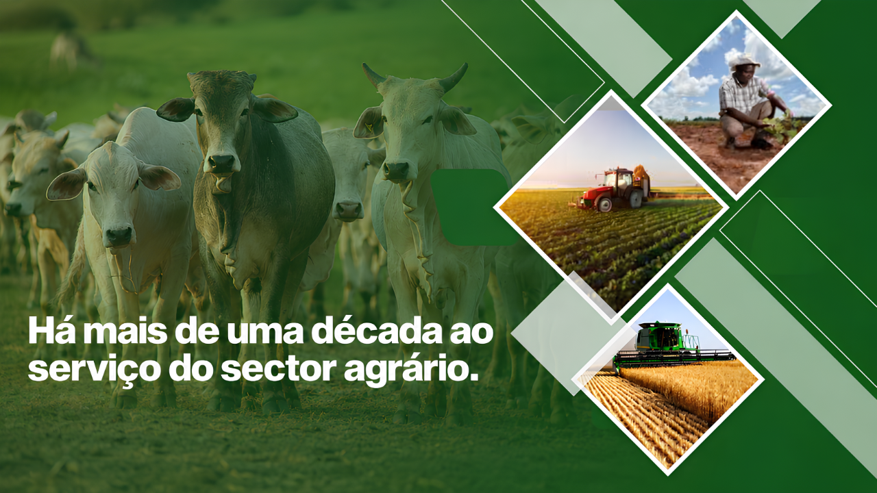 Produtos frescos de produtores moçambicanos — Golden Fay tem tudo para lhe oferecer